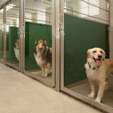 This policy helps support the website's operation. Dog Kennel Glass Door Direct Animal