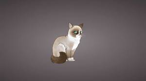Check spelling or type a new query. Grumpy Cat Meme Uhd 4k Wallpaper Pixelz