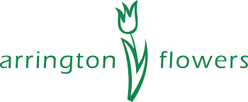 Check spelling or type a new query. Rocky Mount Florist Flower Delivery By Arrington Flowers And Gifts
