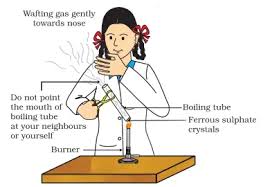 Ncert Class 10 Science Lab Manual Types Of Reactions - Cbse Tuts