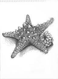 Drawings Of Starfish Google Search Tattoo Ideen Ozean