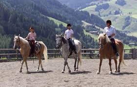 Für kinder gibt es jede menge zu entdecken, sei es der reitstall, die hunde, die esel oder ziege. Altachhof Reiten Salzburg Reiterhof Salzburg Reiturlaub Salzburg Reitarena