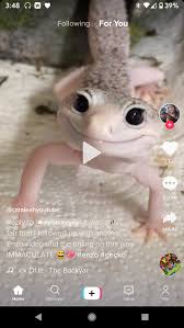 How To Fast Forward Through A Tiktok Video The Verge