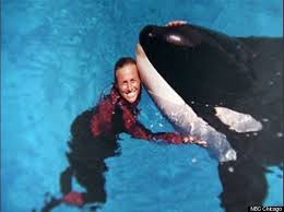 Tribute to the beautiful dawn brancheau. Dawn Brancheau Killed Seaworld Trainer S Family Seeks To Quash Video Of Brancheau S Death Huffpost