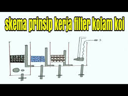Video Skema Prinsip Kerja Filter Kolam Koi Youtube