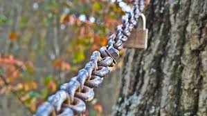 We did not find results for: Hd Wallpaper Chain Lock Gate Nature Tree Wood Outdoors Iron Perspective Wallpaper Flare