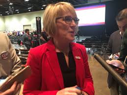 Michigan primary 2020: Live updates from election, polling places