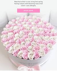 Choose a rose color that sends a message from red roses for romance, yellow roses for friendship and pink roses if you're falling in love. The Million Roses Spring Is In The Air Milled