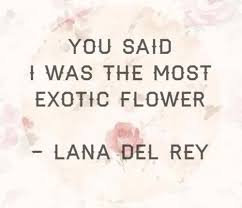 Exotic Love Quotes. QuotesGram via Relatably.com