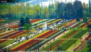 Spring is however the best time to tulip garden is the largest tulip garden of asia spread over an area of about 12 hectares. What Is The Time To Visit The Tulip Garden In Srinagar Quora