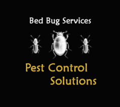 See more of anchor services termite & pest control on facebook. Pest Control Solutions Pest Control Service Facebook 23 Photos