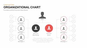 Organizational Chart Powerpoint Template And Keynote Slide