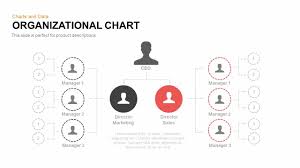 organizational chart powerpoint template and keynote slide