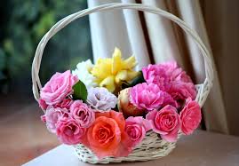 We did not find results for: Photography Still Life Hd Wallpaper Background Image 3600x2510