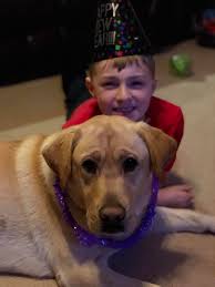 If anyone is missing a husky with a collar and a yellow lab without a  collar, they were spotted