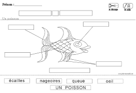 epingle sur z ecole coloriage peppa
