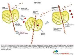 Image result for Non-Nucleoside Reverse Transcriptase Inhibitor