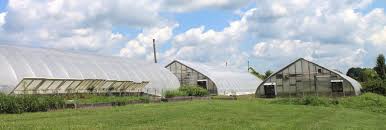 Affordability of living in bucks county, pa. Our Farm In Buckingham Pa Blue Moon Acres