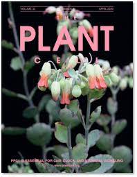Maybe you would like to learn more about one of these? Plant And Cell Physiology Oxford Academic