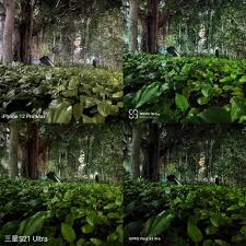 Meizu 18 Pro shoots better in difficult ...