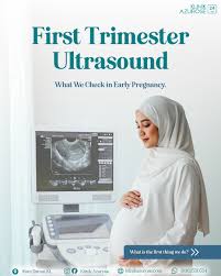 Image result for First Trimester Ultrasound