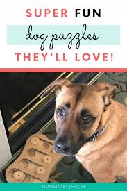 Dog smart treat dispensing dog toy; Top 10 Dog Puzzles You Need To Exercise Their Brain Dog Puzzles Dogs Dog Activities