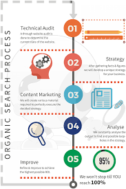 Organic Search Engine Optimization Process Infographic Search Engine Optimization Optimization Website Design Services