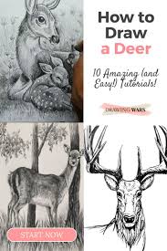 10 Amazing And Easy Step By Step Tutorials Ideas On How To Draw A Deer With Pencils And More Easy Charcoal Drawings Deer Drawing Drawings