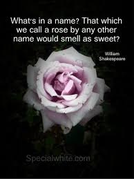 What S In A Name Name Quotes Sweet Words Rose