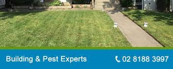 A building and pest inspection report will highlight any defects and can prevent a property buyer from making a costly mistake. Building And Pest Inspection Sydney Qualfiied Building Inspectors