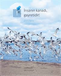 Insanin Kanadi Gayretidir Mevlana Bulutlar Guzel Gozler Gozler
