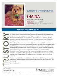 Healthy pets animal hospital wa. Animal Clinic Of Mandarin Veterinarian In Jacksonville Fl Us Pet Insurance