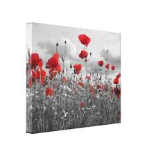 Black And White Canvas Prints From Photos Poppies Black White And Red Canvas Print Zazzle Com White Canvas Art Red Art Print Canvas Prints