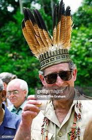 78 Hawk Laughing Stock Photos, High-Res Pictures, and Images