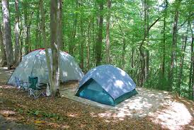 Interested in camping in virginia? Favorite Campgrounds At Virginia State Parks Shellie S Picks State Parks Blogs