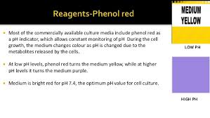 Animal cell culture media types. Cell Culture Different Type Of Cell Culture Media Types Of Media