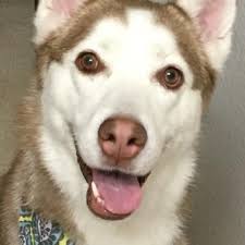 Chase Carrington ☀️🏃🏽‍♂️ (@ChaseTheSon4JC)