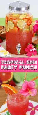 100 Best Coconut Rum Images In 2020 Coconut Rum Yummy Drinks Fun Drinks