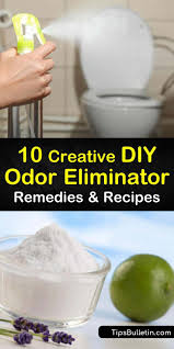How can so much smell come out of their bodies? 10 Creative Diy Odor Eliminator Remedies And Recipes