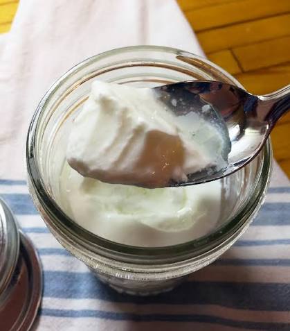 Yogurt