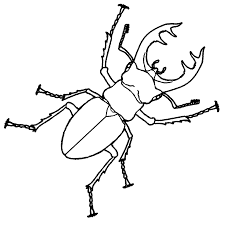 Rhino Beetle Coloring Pages In 2020 Beetle Drawing Coloring Pages Insect Coloring Pages