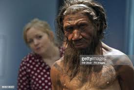 871 Neanderthal Photos and Premium High Res Pictures - Getty Images