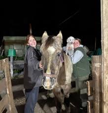 CRRE Centro de Rescate y Rehabilitación Equino