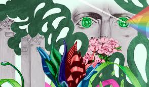 Which Is Better For The Environment Democracy Or Dictatorship University Of Helsinki