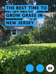 The Best Time To Grow Grass In New Jersey Sow Grass Seeds In New Jersey Outside Of Times Of Temperature Extremes The Roots Need Plants Lawn Pergola Pictures