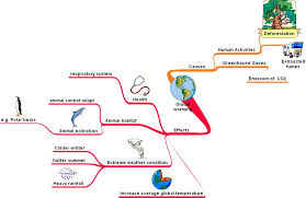 Browse for more easy to edit simple mind map templates on venngage. A Mind Map On Global Warming Missanniechan