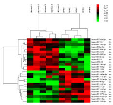 Una vasta gamma di proteine di prima qualità, perfette per ogni obiettivo di fitness. Anti E Cadherin R868 Anticorpo A25127 Bph1 Prostatic Expression Atlas