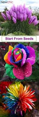 Sun garden matratze , chair pool | pallet lounge, pool lounge chairs, lawn furniture, sun garden boxspringbett orlando / bx1110 in grau mit, sun garden boxspringbett bx 630 180x200 beistellbett, matratze, spannbettücher, wasserdicht. 38 Familie Projekte Ideen Puppen Kinderwagen Puppenwagen Alte Puppenwagen