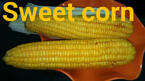 Sweet corn is a beautiful produce popular everywhere in the world. Sweet Corn Recipes In Tamil à®š à®µ à®Ÿ à®• à®© à®¤à®® à®´ Youtube