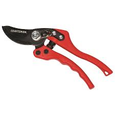 Soz.is ist optimiert für politik und wahlkampf. Craftsman Carbon Steel Bypass Hand Pruner With Adjustable Grip In The Hand Pruners Department At Lowes Com
